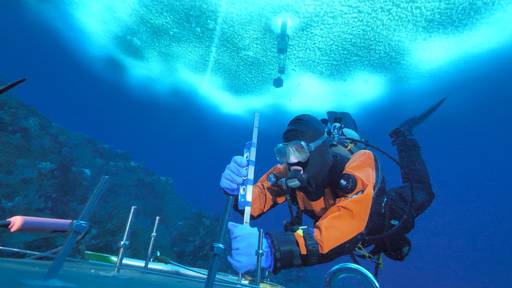 Divers at the sea floor. In the background: the observation tube with me inside (Photo: Henry Kaiser)