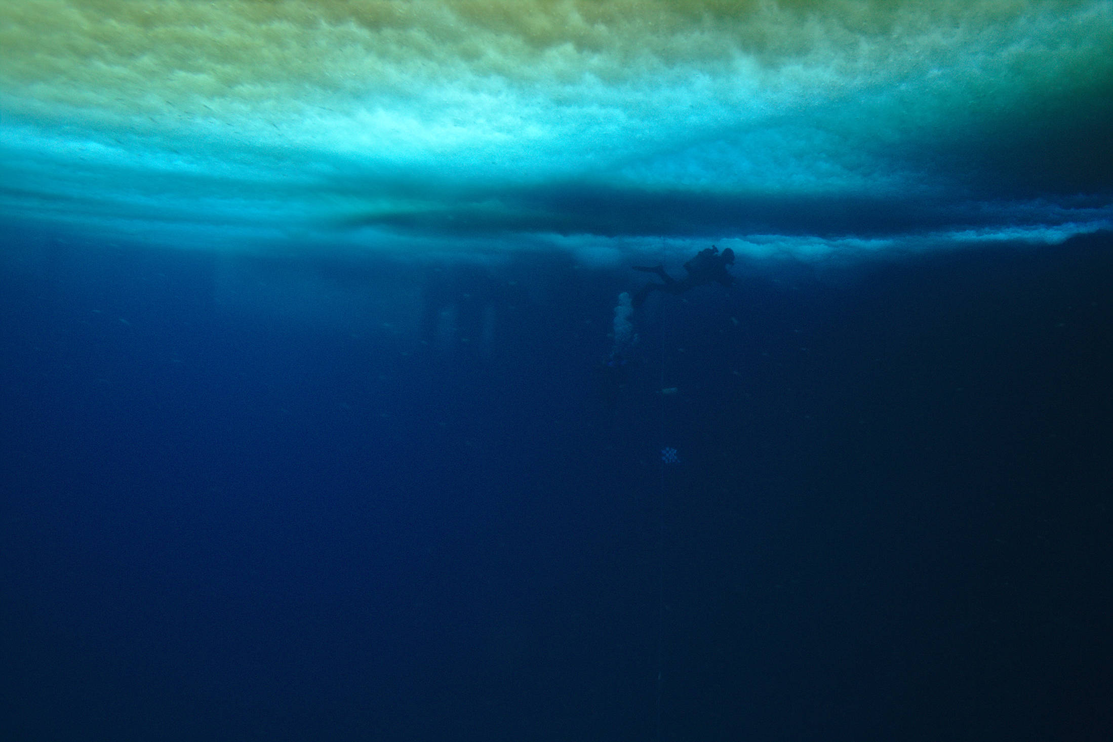 Sea ice from below. Diver for scale