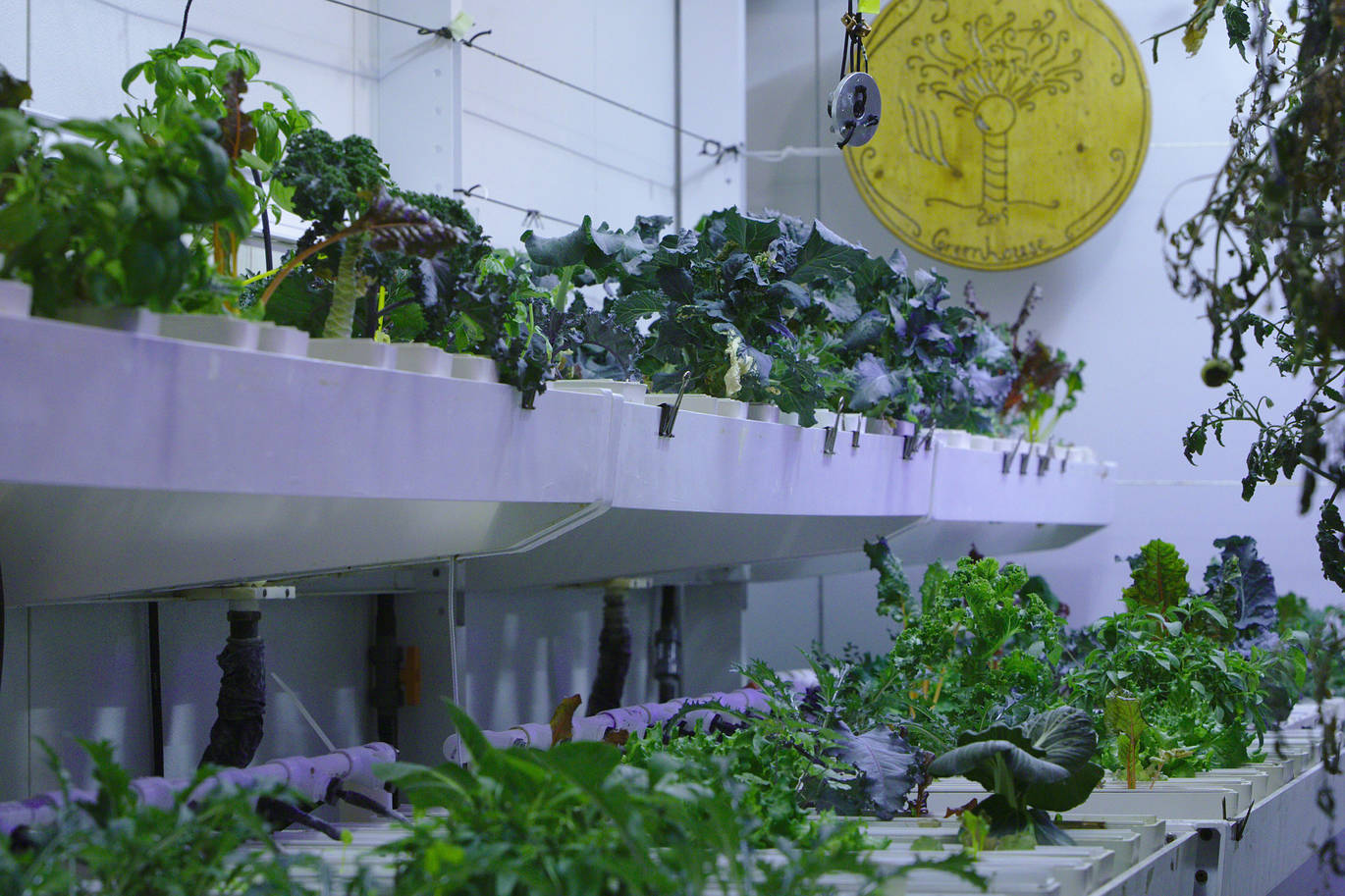 Inside one of the growth chamber.